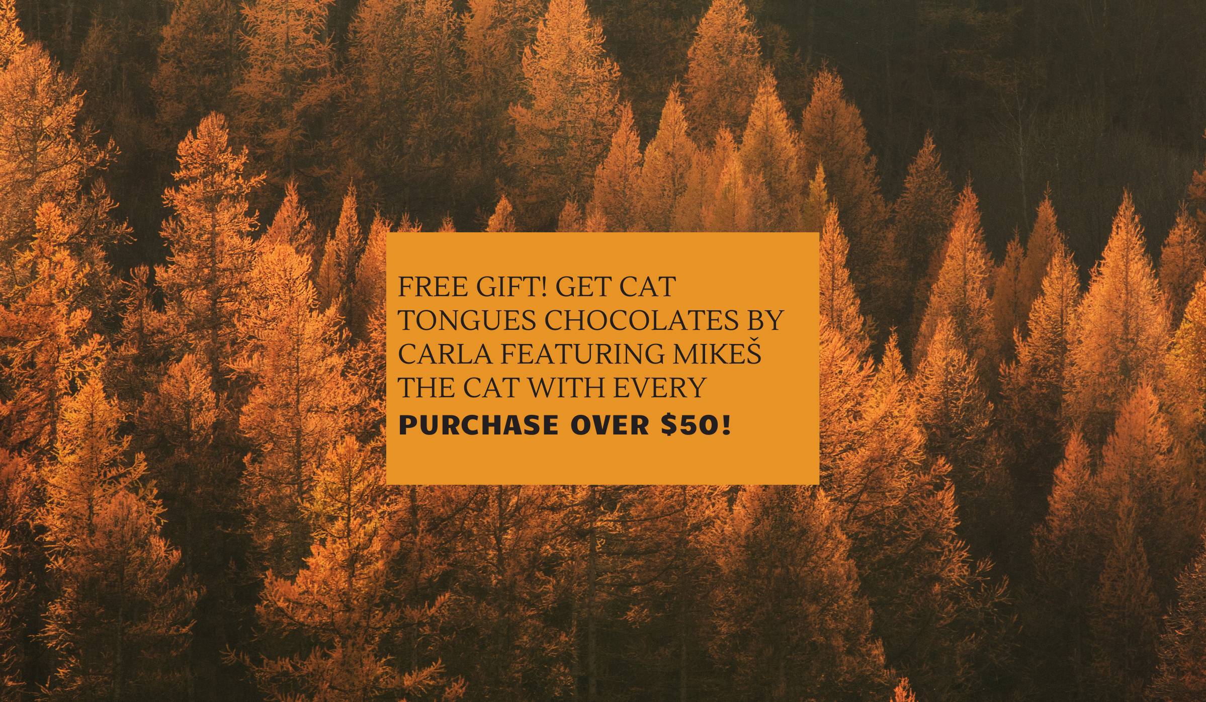 A Special Autumn Treat for Our Customers! 🍁