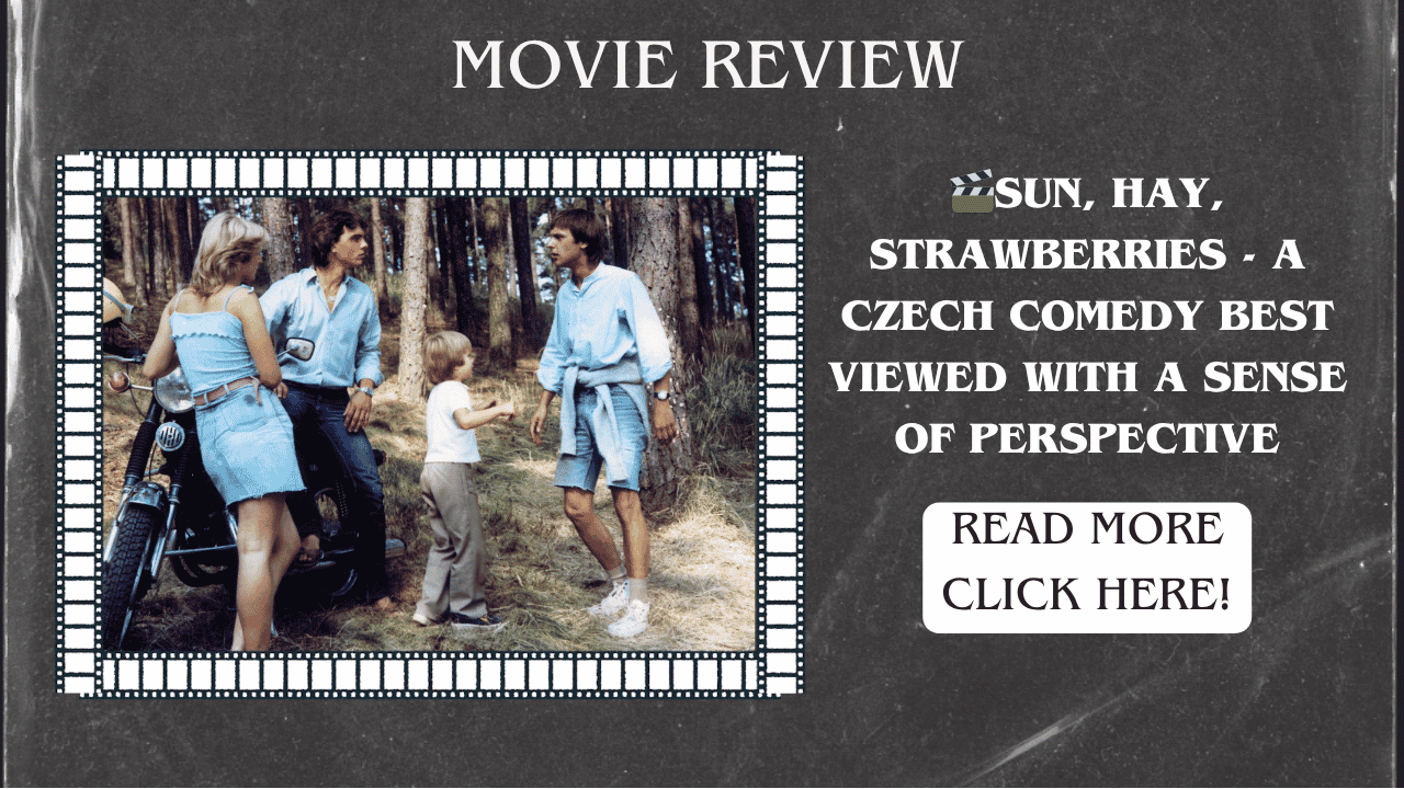 Sun, Hay, Strawberries - a Czech comedy best viewed with a sense of perspective