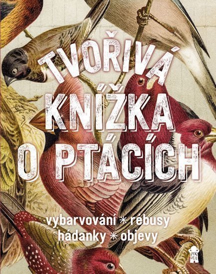 Tvořivá knížka o ptácích – Roebers Geert-Jan