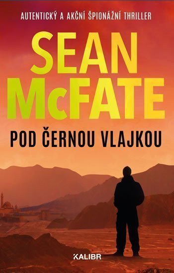 Pod černou vlajkou – McFate Sean