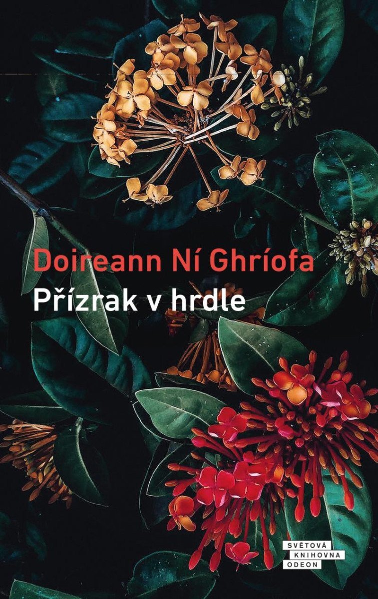 Přízrak v hrdle – Ní Ghríofa Doireann