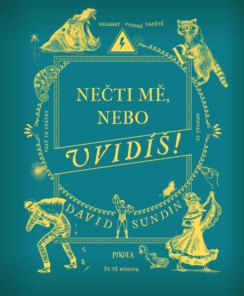 Nečti mě nebo uvidíš – Sundin David