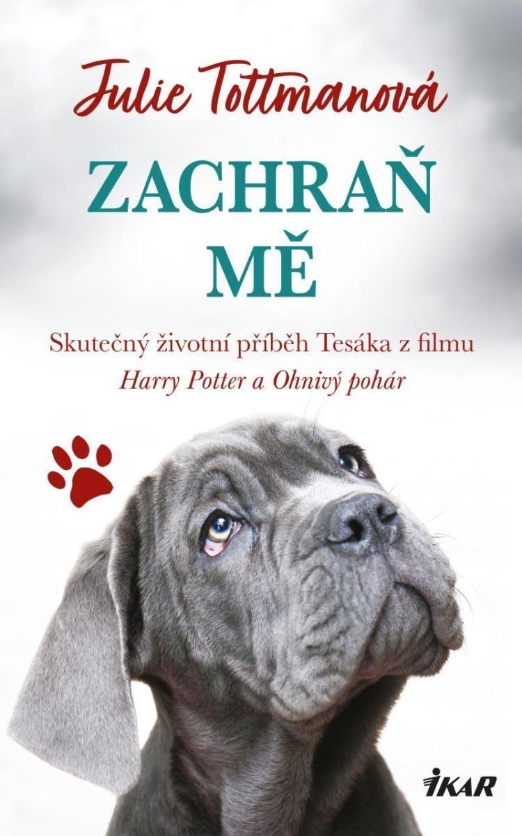 Zachraň mě – Tottmanová Julie