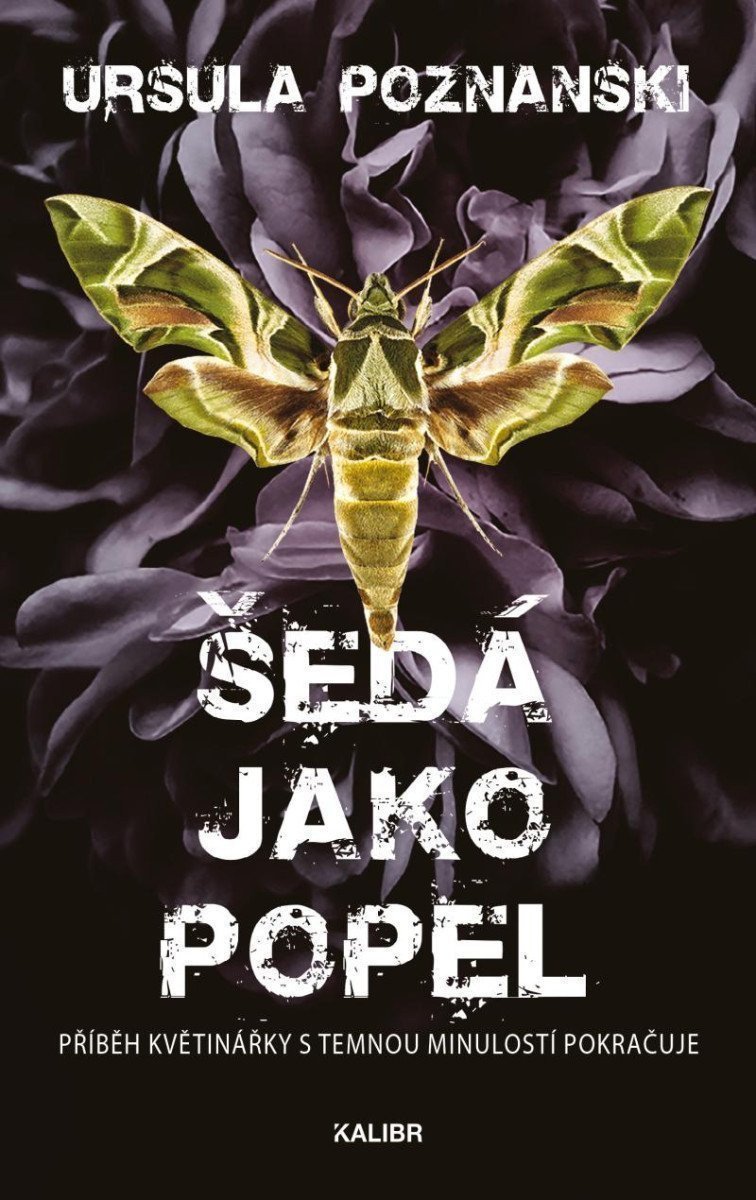 Šedá jako popel – Poznanski Ursula