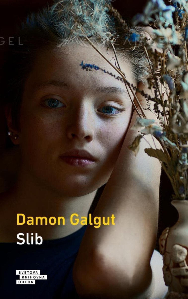 Slib – Galgut Damon
