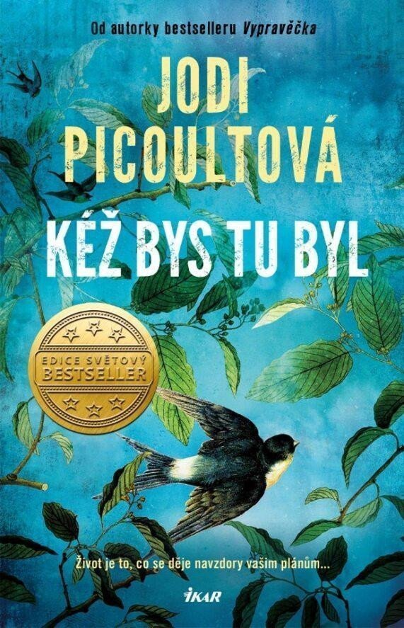 Kéž bys tu byl – Picoultová Jodi