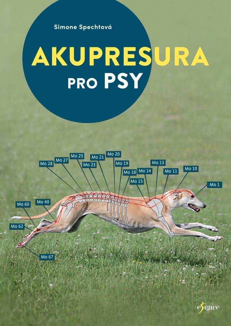 Akupresura pro psy – Specht Simone