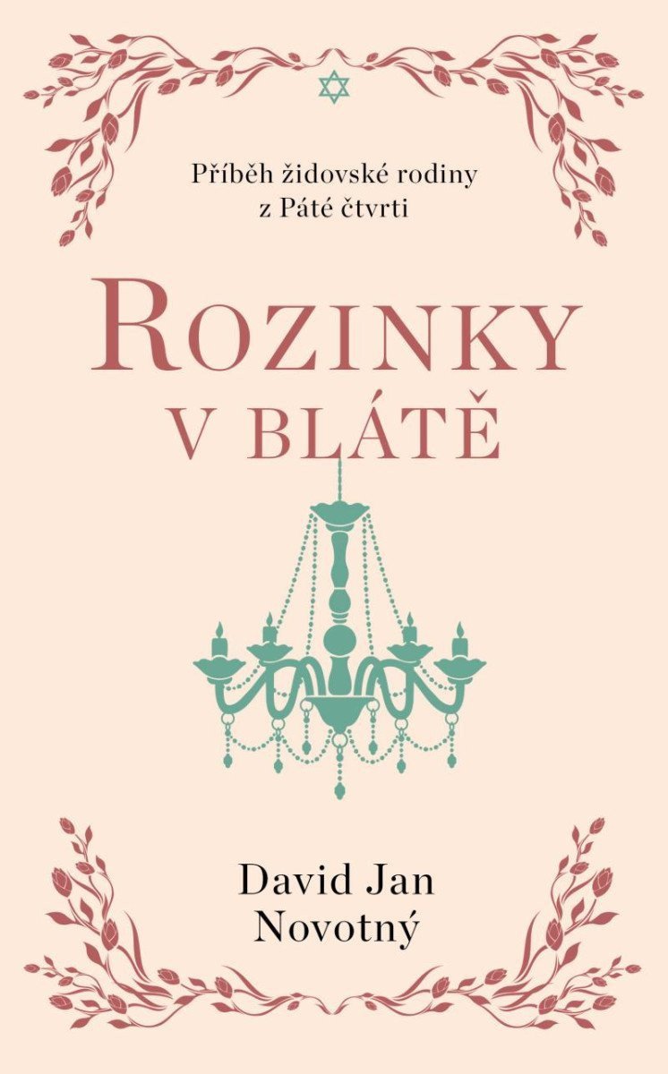 Rozinky v blátě - Dva tucty střepů – Novotný David Jan
