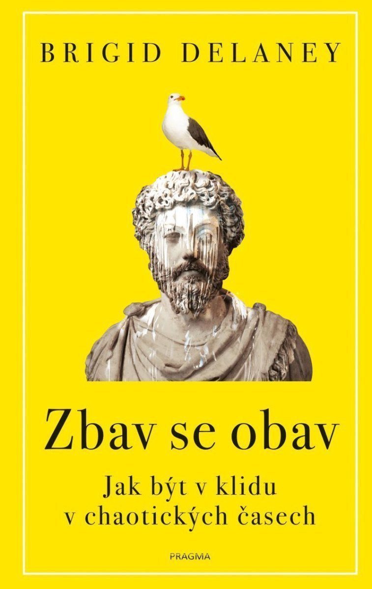 Zbav se obav – Delaney Brigid