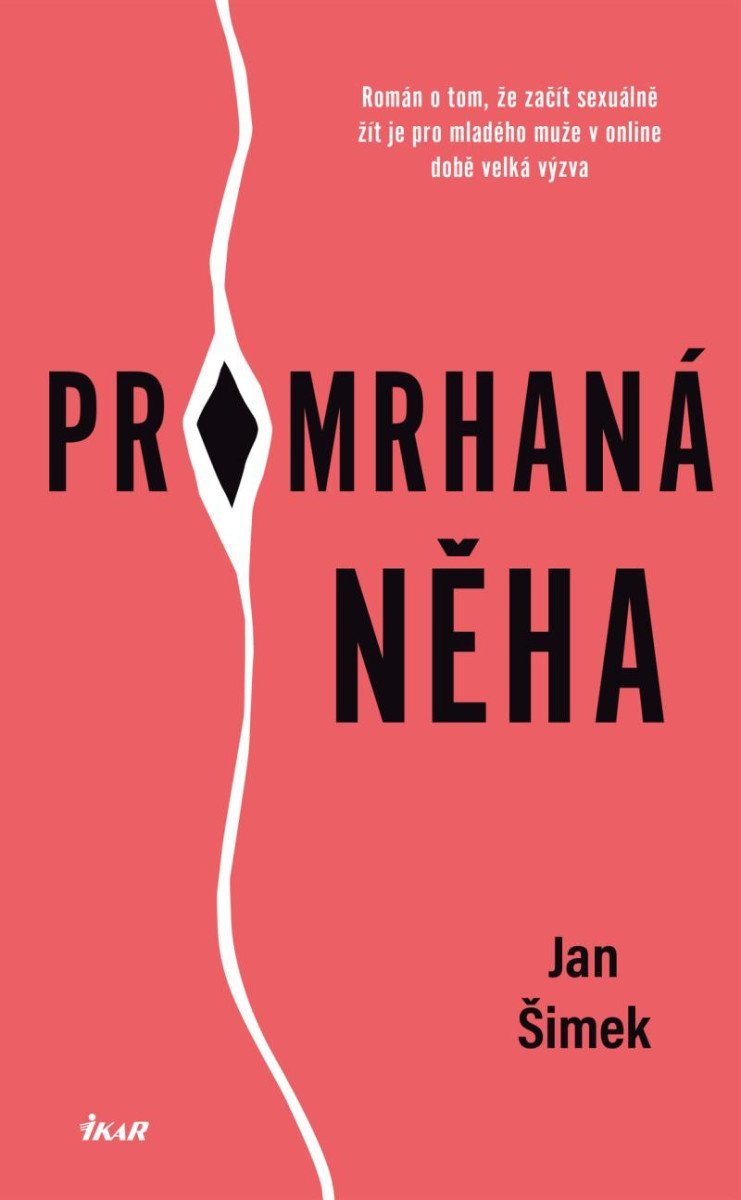 Promrhaná něha – Šimek Jan