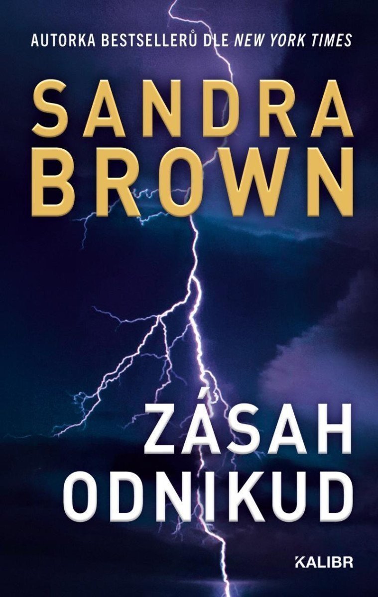 Zásah odnikud – Brown Sandra