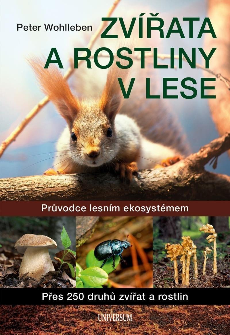 Zvířata a rostliny v lese – Wohlleben Peter