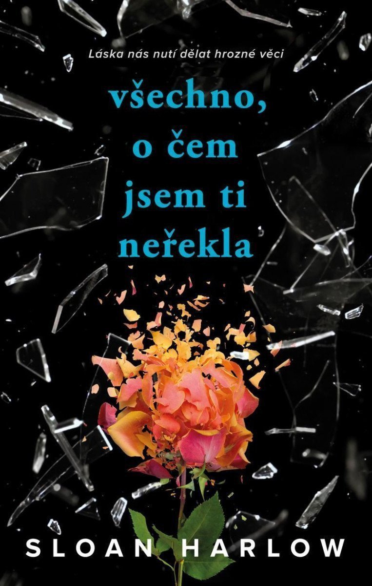 Všechno o čem jsem ti neřekla – Harlow Sloan