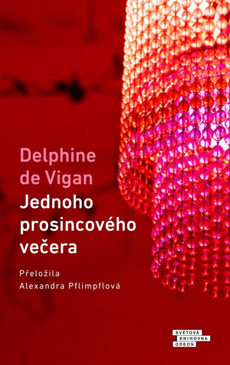Jednoho prosincového večera – de Vigan Delphine