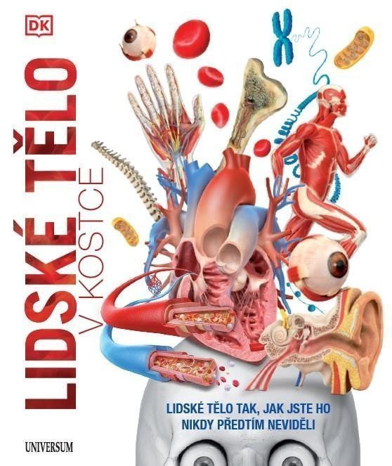 Lidské tělo v kostce – group of authors