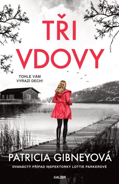 Tři vdovy – Gibneyová Patricia (2025)