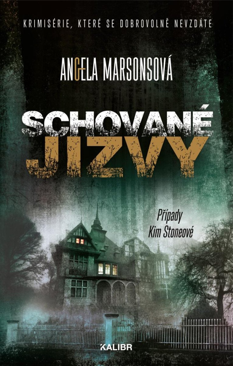 Schované jizvy – Marsonsová Angela