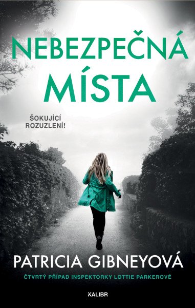 Nebezpečná místa – Gibneyová Patricia (2026)