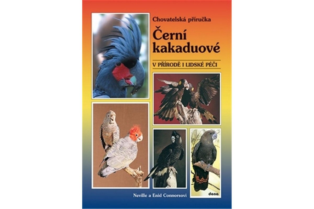 Černí kakaduové – v přírodě i lidské péči – Connorsová Enid