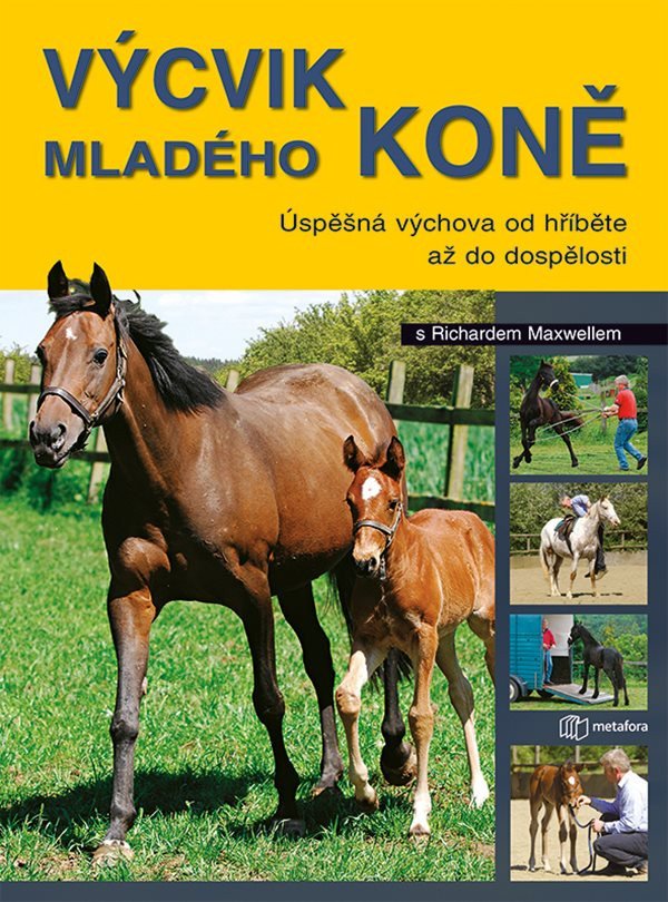 Výchova mladého koně – Maxwell Richard