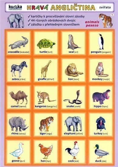 Hravá angličtina 1 - Zvířata – kolektiv autorů