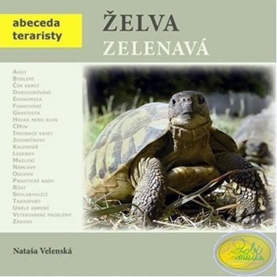 Želva zelenavá - Abeceda teraristy – Velenská Nataša