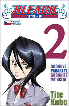 Bleach 2 Goodbye parakeet goodnight my sista – Kubo Tite