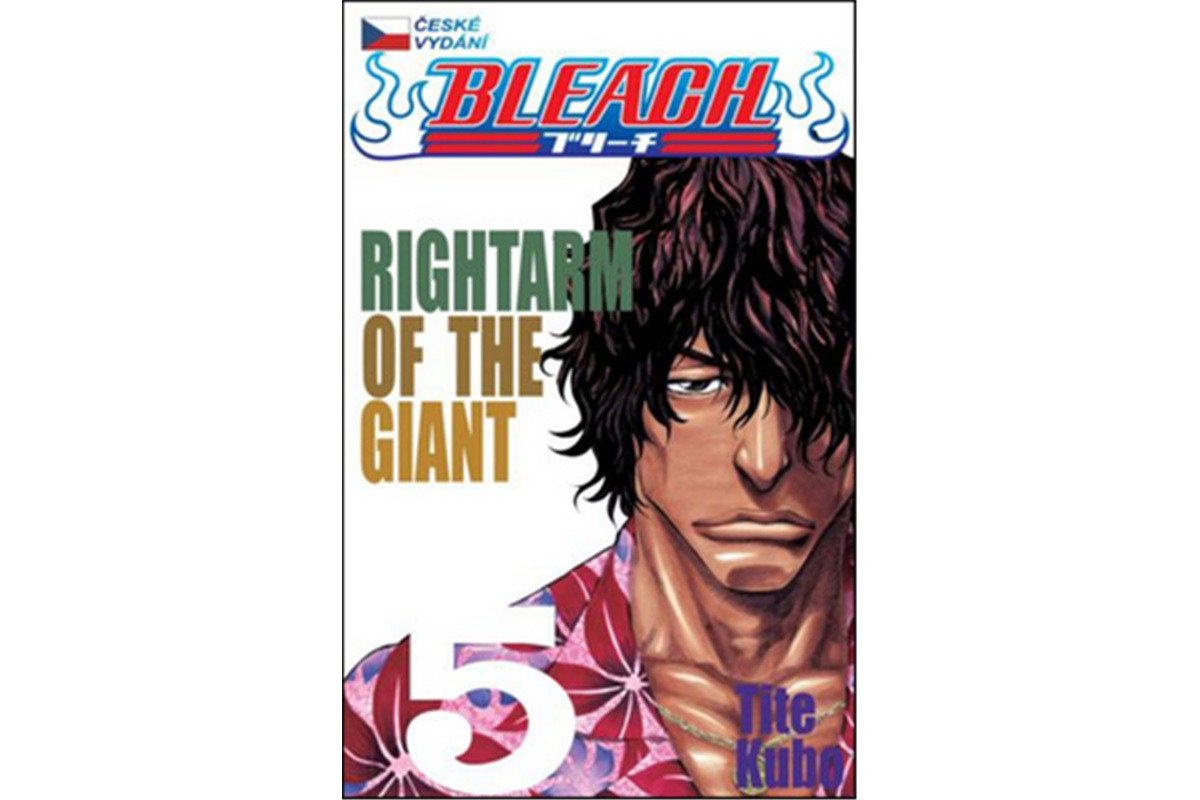 Bleach 5 Right Arm of the Giant – Kubo Tite