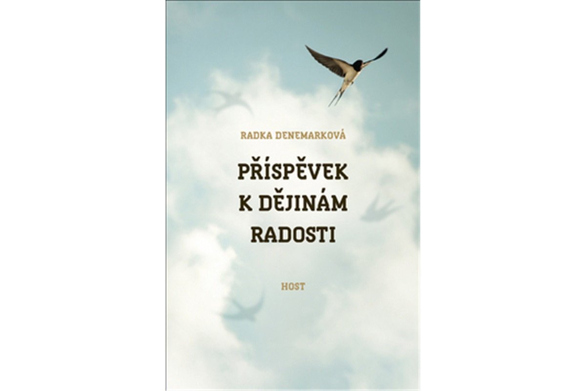 Příspěvek k dějinám radosti – Denemarková Radka