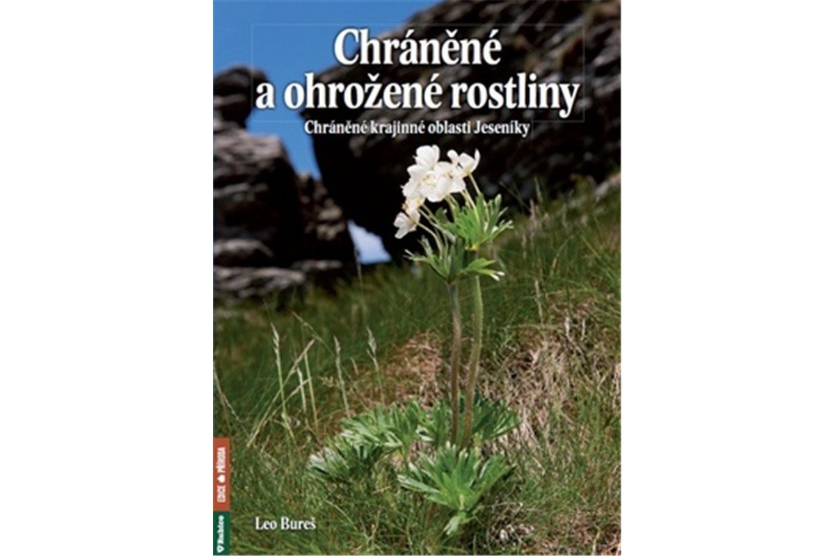 Chráněné a ohrožené rostliny - Chráněná krajinná oblast Jeseníky – Bureš Leo