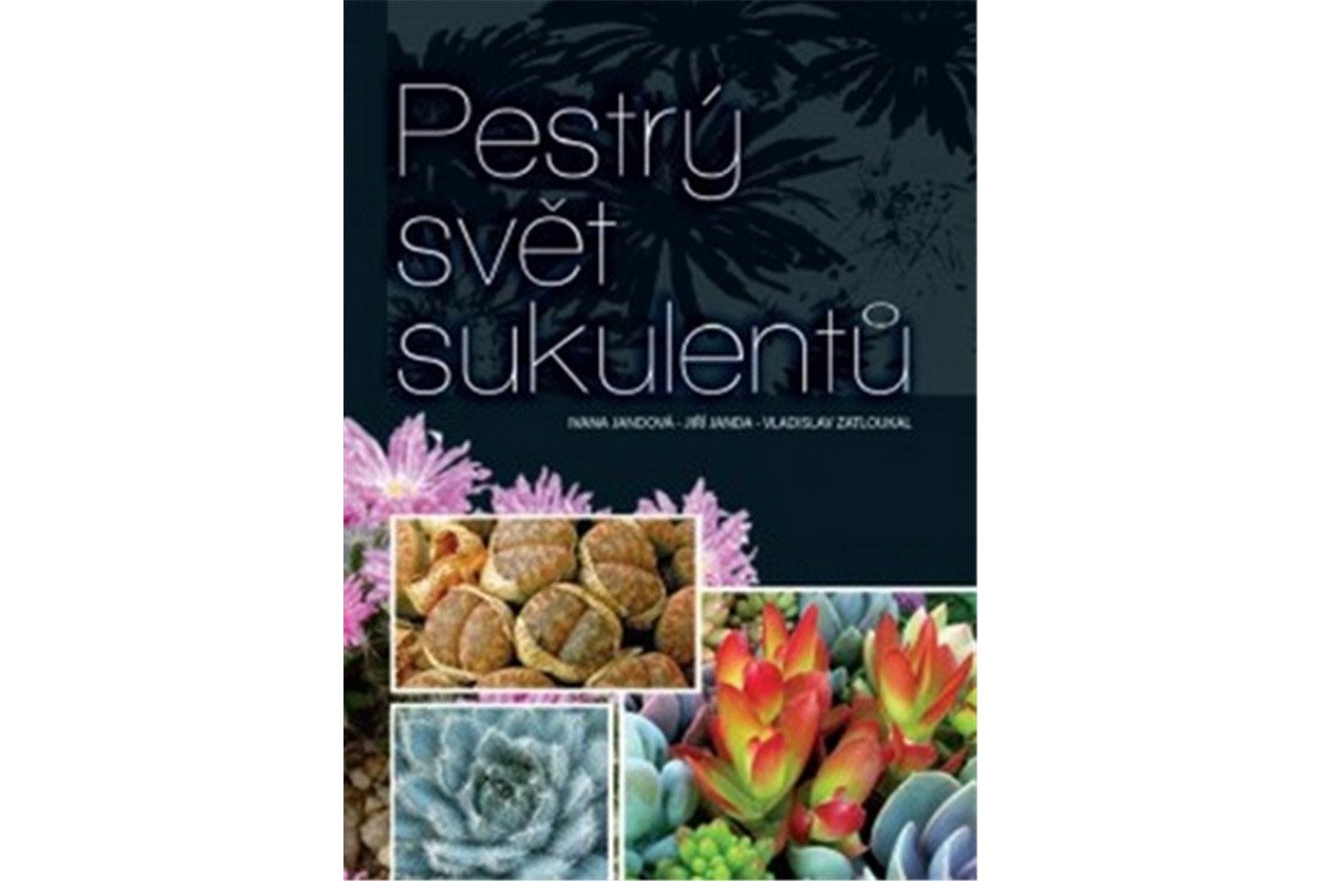 Pestrý svět sukulentů – group of authors
