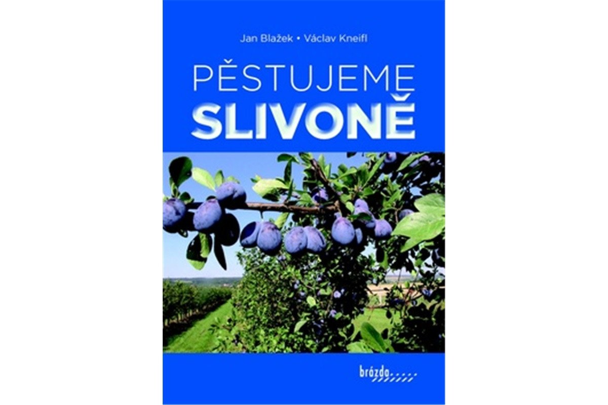 Pěstujeme slivoně – Blažek Jan