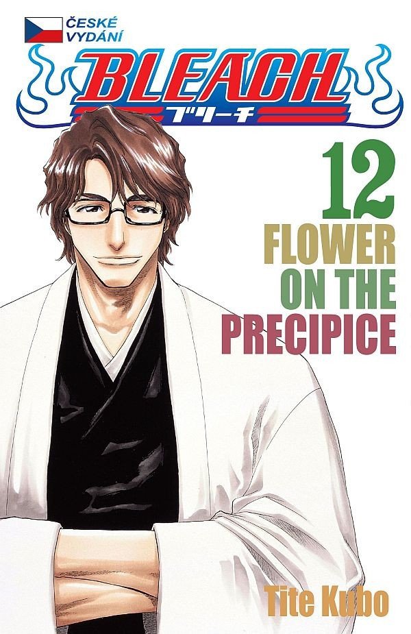 Bleach 12 Flower on the Precipice – Kubo Tite