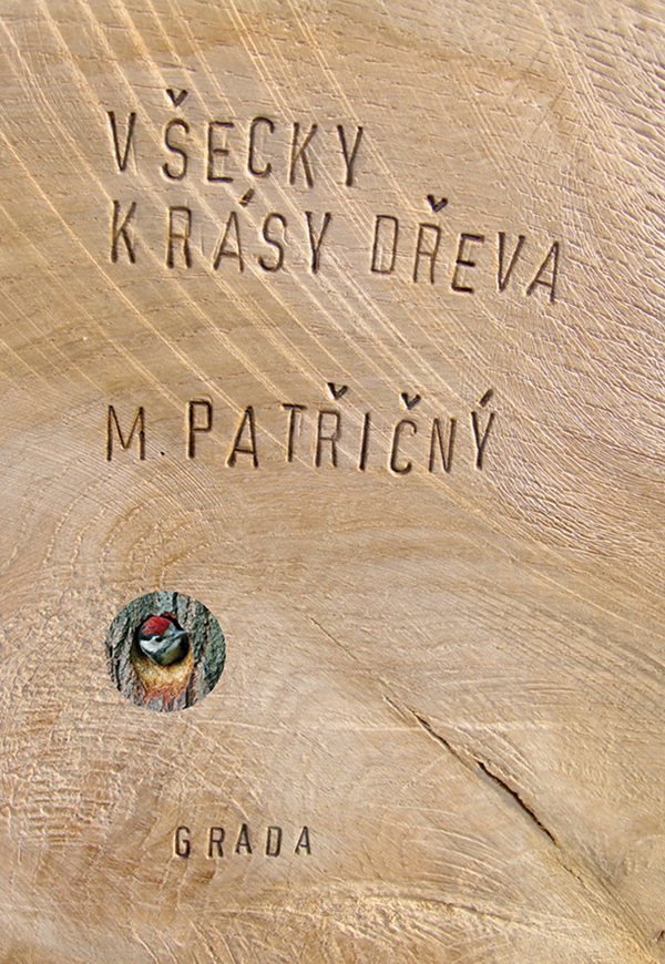 Všecky krásy dřeva – Patřičný Martin