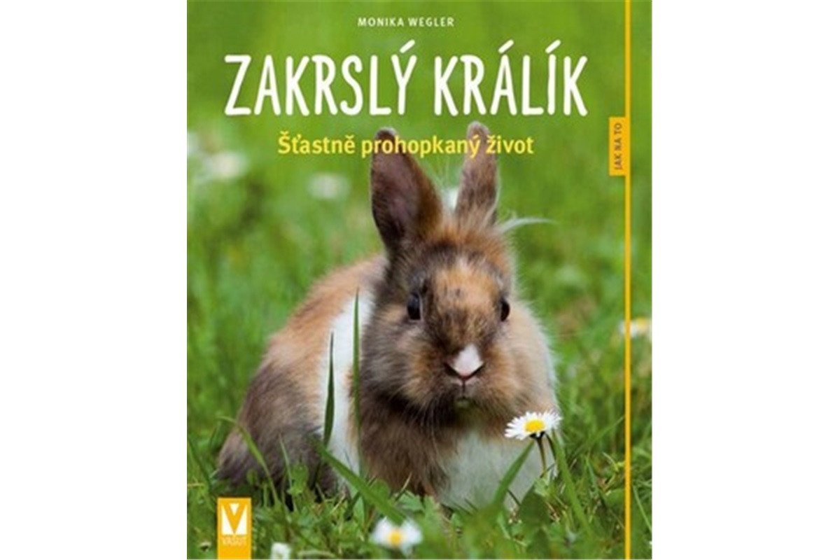 Zakrslý králík Šťastně prohopkaný život - Jak na to – Weglerová Monika