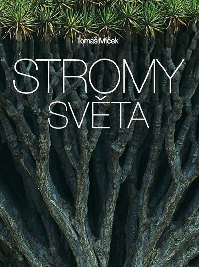 Stromy světa – Míček Tomáš