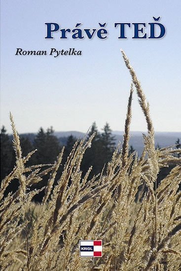 Právě teď – Pytelka Roman