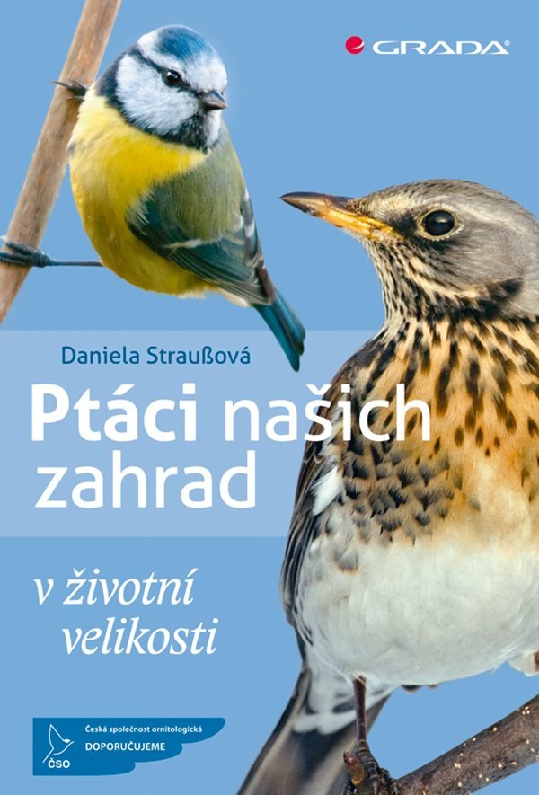 Ptáci našich zahrad v životní velikosti – Straußová Daniela