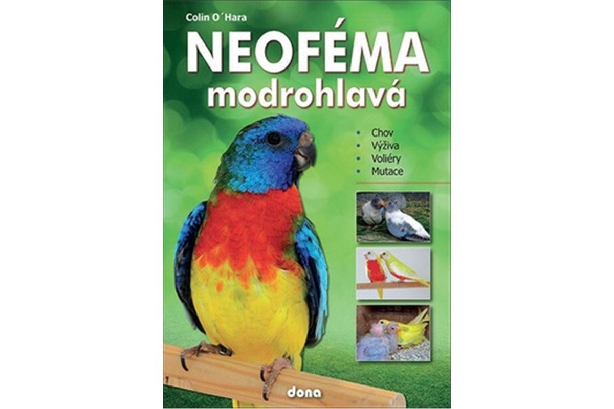 Neoféma modrohlavá - chovatelská příručka – OHara Colin