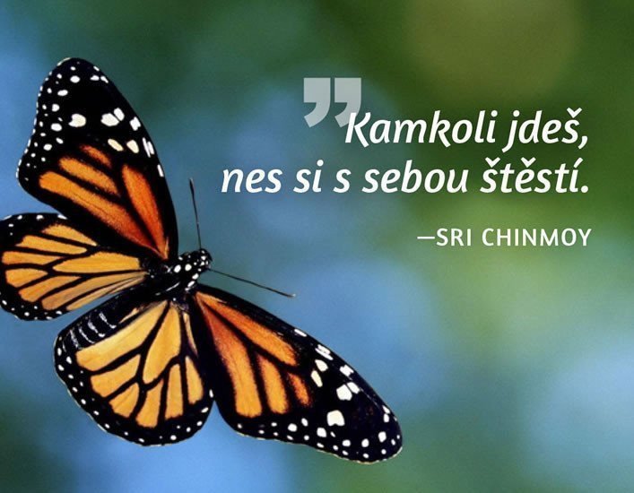 Magnet na lednici - Kamkoli jdeš nes si s sebou štěstí