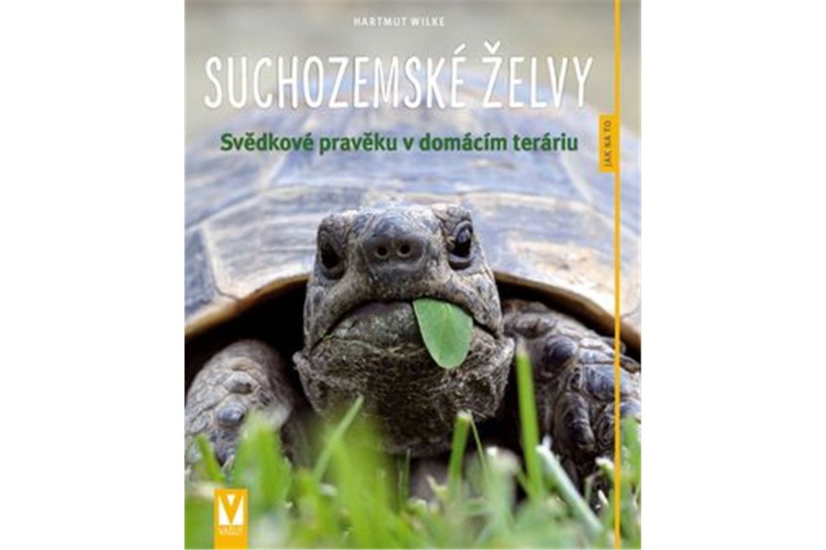 Suchozemské želvy - Svědkové pravěku v domácím teráriu – Wilke Hartmut