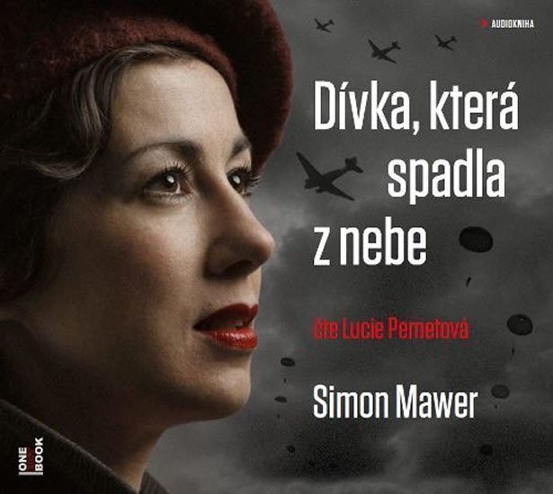 Dívka která spadla z nebe - CDmp3 Čte Lucie Pernetová
