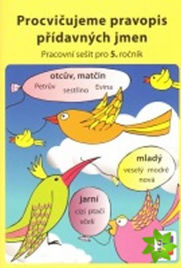 Procvičujeme pravopis přídavných jmen - pracovní sešit pro 5 ročník