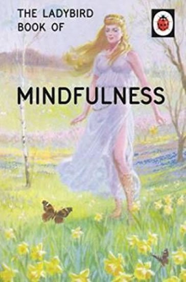 The Ladybird Book Of Mindfulness – Hazeley Jason