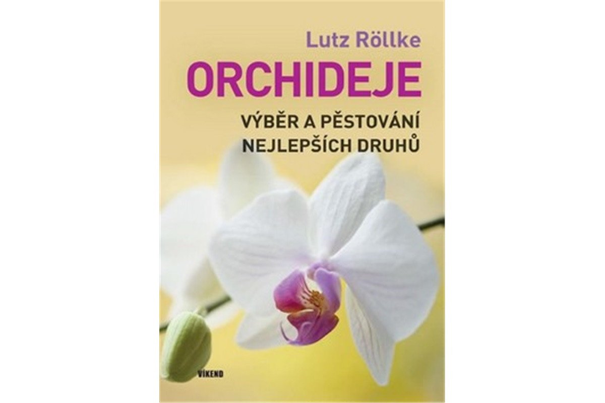 Orchideje – Výběr a pěstování nejlepších druhů – Röllke Lutz