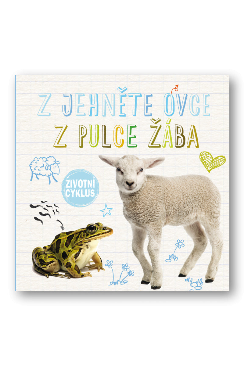 Z jehněte ovce z pulce žába - Životní cyklus – Duhig Holly