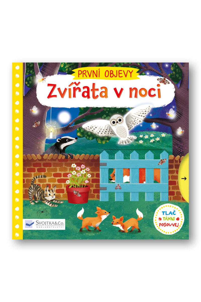 První objevy - Zvířata v noci