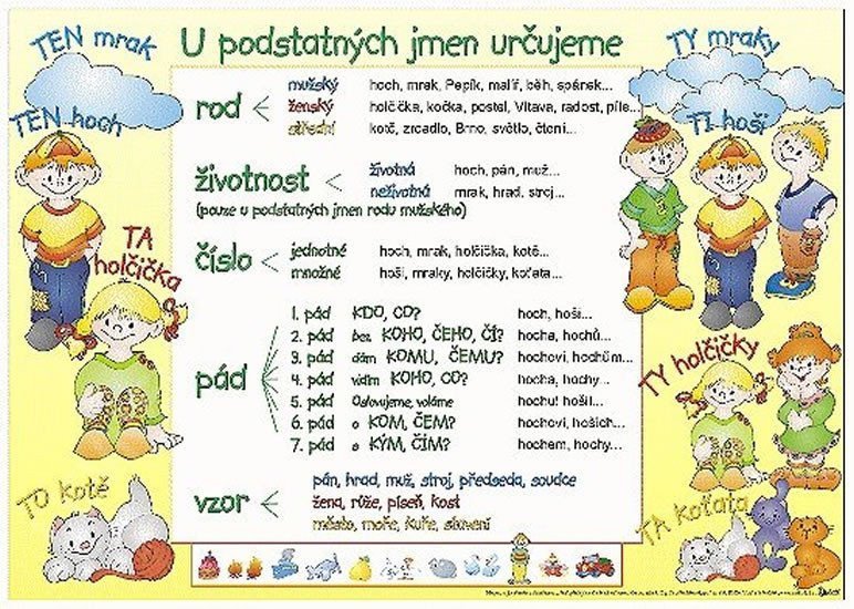 U podstatných jmen určujeme  Výjimky u podstatných jmen karta