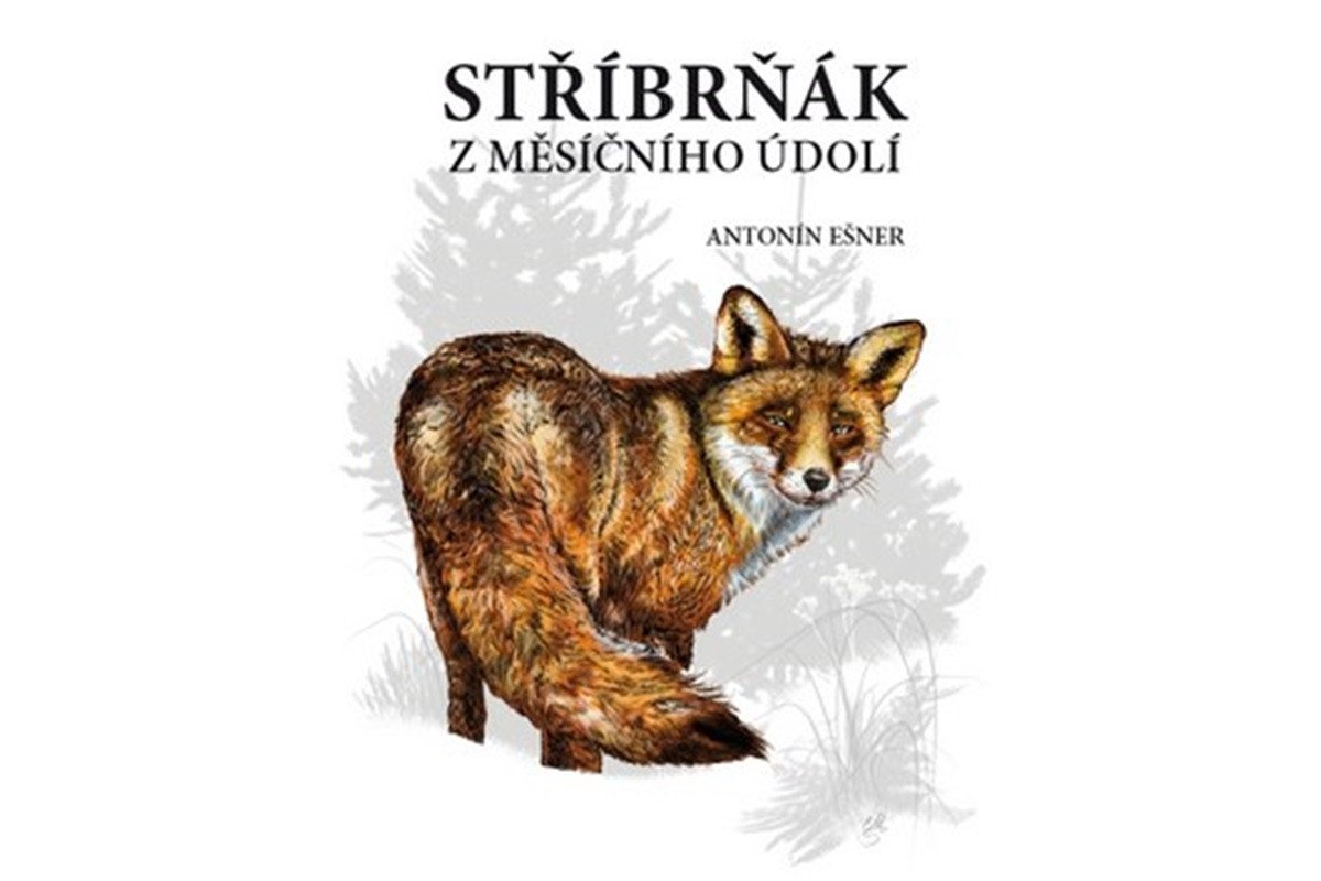 Stříbrňák z Měsíčního údolí – Ešner Antonín