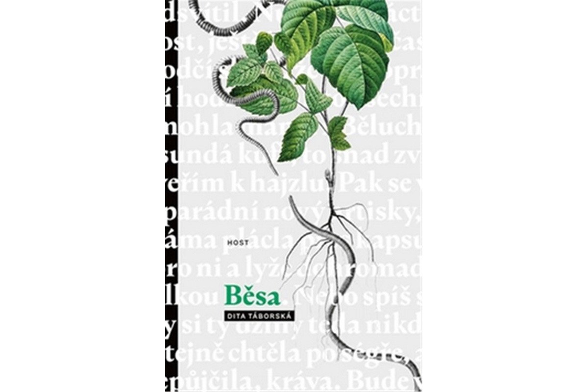 Běsa – Táborská Dita